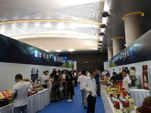 毕节市来渝举行旅游推介会 景区升级、门票优惠、精品线路促旅游发展