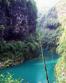 旅游服务广告与传播媒体运营的深度整合策略